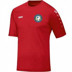 4233 - Maillot Team MC