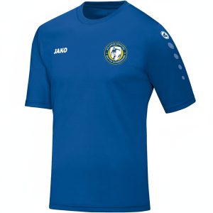 4233 - Maillot Team MC